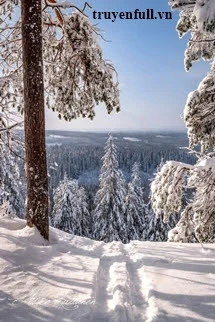 [Truyện Chữ] - Kí Ức Ngày Đông