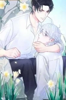 [Truyện Chữ] - Kiều Khí Bao