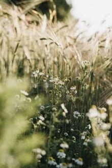 [Truyện Chữ] - Kiếm Tôn Hắn Không Đúng Lắm