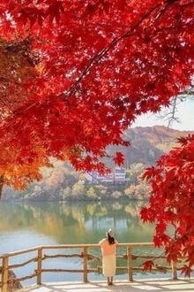 [Truyện Chữ] - Lặng Thầm Yêu Em!