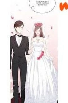 [Truyện Chữ] - Lão Nam Nhân Hào Môn Lần Thứ Hai Kết Hôn Cưới Vợ Nam