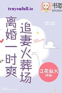 [Truyện Chữ] - Ly Hôn Nhất Thời Sảng, Truy Thê Hỏa Táng Tràng