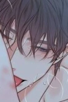 [Truyện Chữ] - Mang Thai Trước Khi Ly Hôn