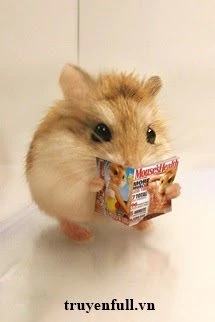 [Truyện Chữ] - Mạt Thế Hamster Giàu Chảy Mỡ