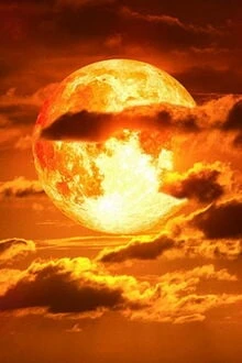 [Truyện Chữ] - Mạt Thế Lười Biếng