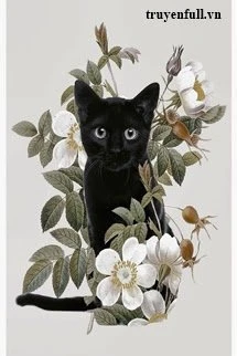 [Truyện Chữ] - Mèo