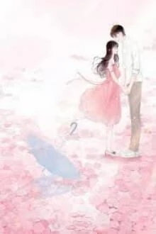 [Truyện Chữ] - Một Đóa Hoa Hồng Gai