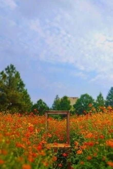 [Truyện Chữ] - Người Chụp Ảnh Bầu Trời