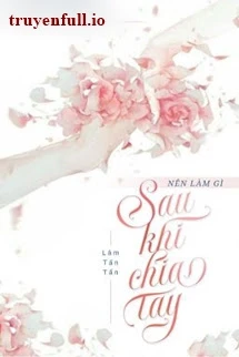 [Truyện Chữ] - Nên Làm Gì Sau Khi Chia Tay - Lâm Tấn Tấn