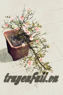 [Truyện Chữ] - Nếu Có Biết Xuân Về Chốn Nọ