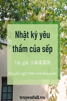 [Truyện Chữ] - Nhật Ký Yêu Thầm Của Sếp