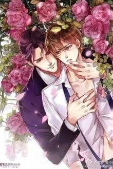 [Truyện Chữ] - Nhìn Vào Vực Thẳm