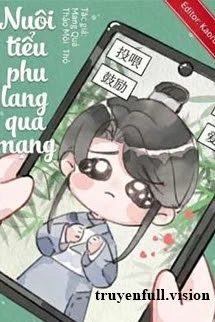 [Truyện Chữ] - Nuôi Tiểu Phu Lang Qua Mạng