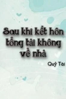 [Truyện Chữ] - Sau Khi Kết Hôn Tổng Tài Không Về Nhà