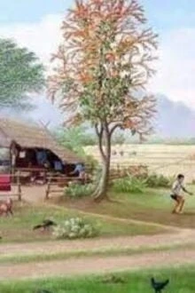 [Truyện Chữ] - Sau Khi Xuyên Thành Nữ Phụ, Tôi Nhặt Được Idol