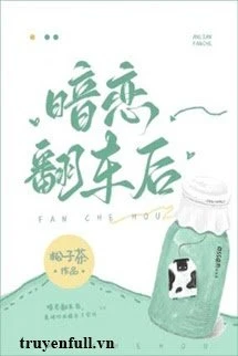 [Truyện Chữ] - Sau Khi Yêu Thầm Bị Lật Xe